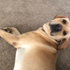 Meet your Posher, Holly